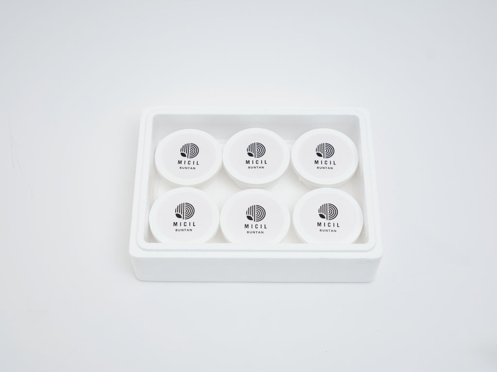 土佐文旦アイス(6個セット)