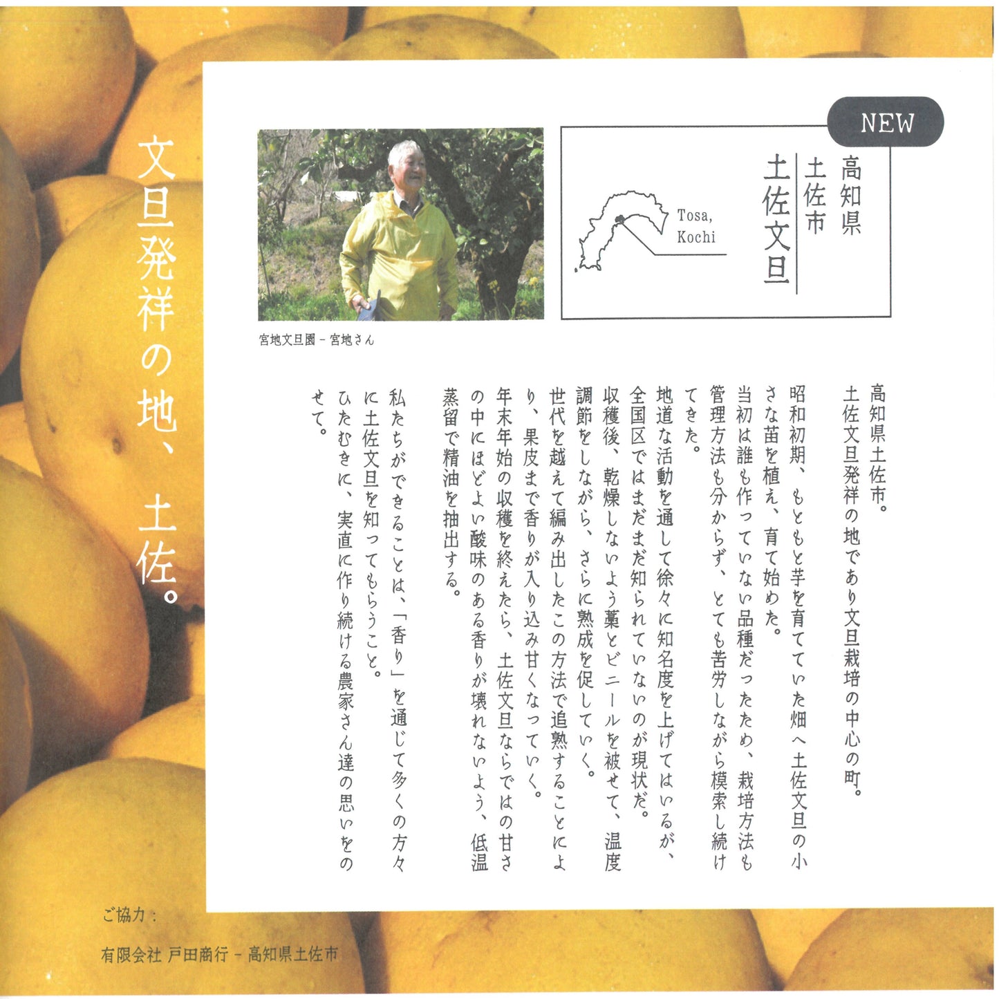 土佐文旦ハンドクリーム